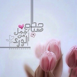 صباح الورد حبيبتي - صور ورد وزهور Rose Flower images